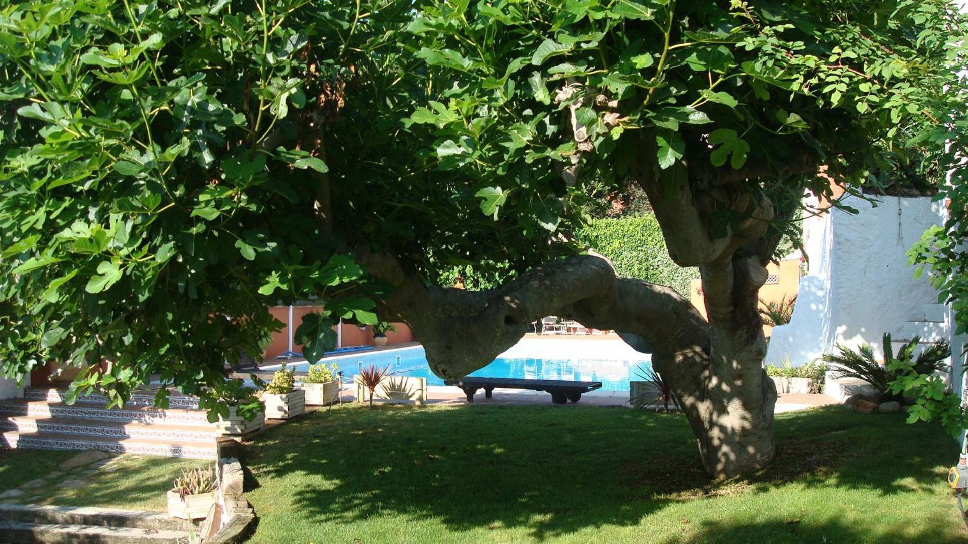 Comarquinal Bioresort Penedes San Quintín de Mediona エクステリア 写真