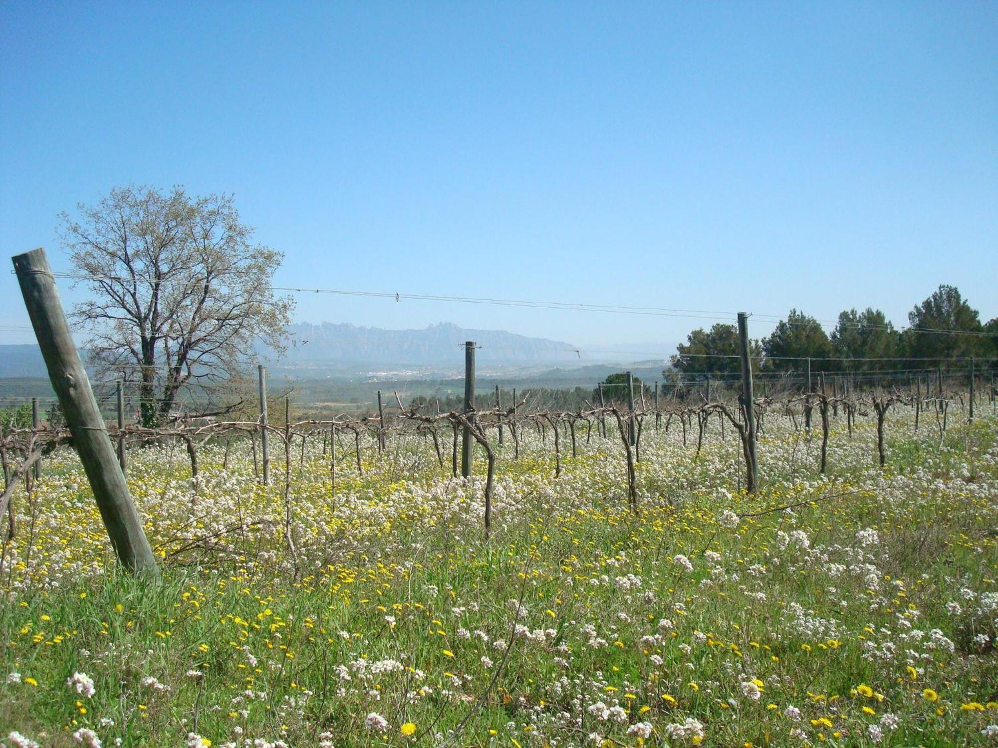 Comarquinal Bioresort Penedes San Quintín de Mediona エクステリア 写真