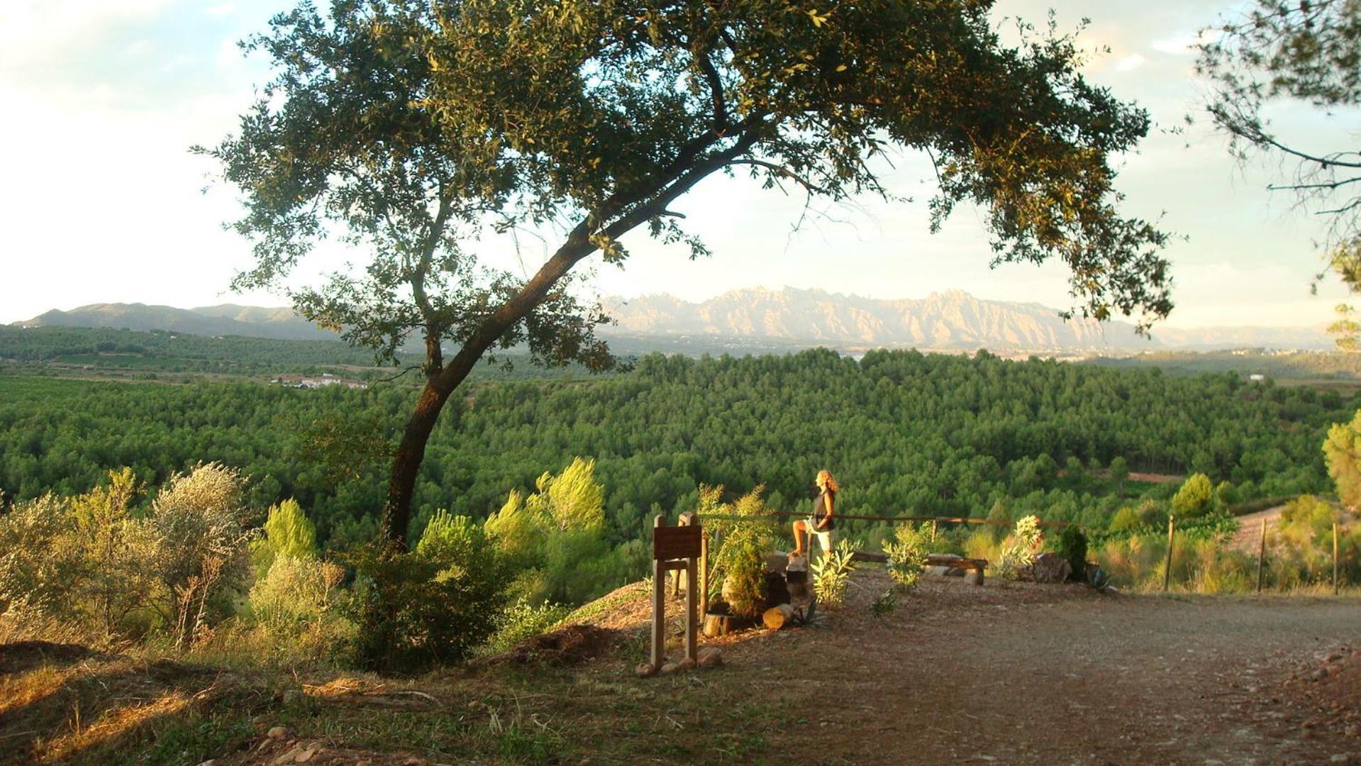 Comarquinal Bioresort Penedes San Quintín de Mediona エクステリア 写真